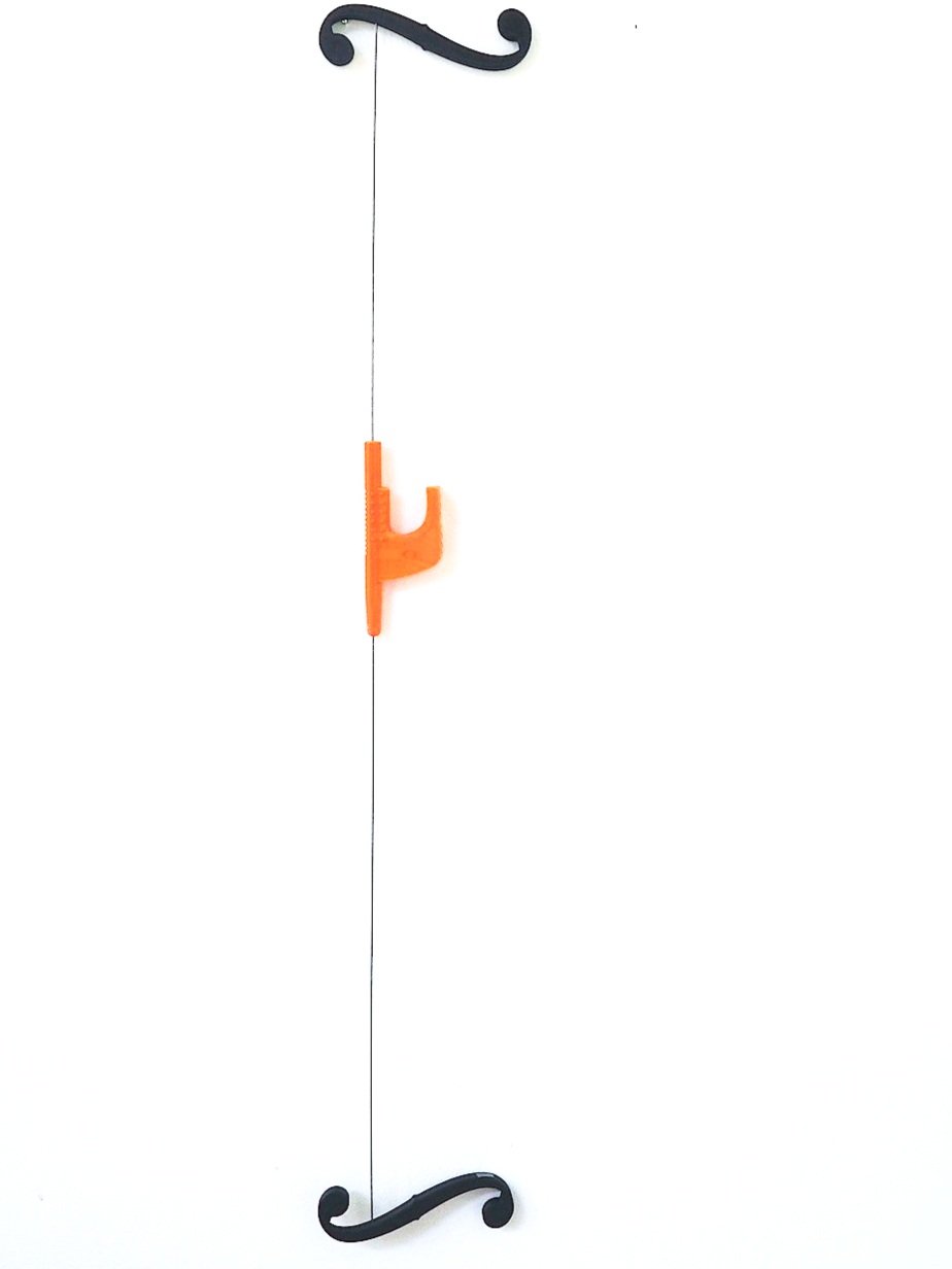 z4.jpg