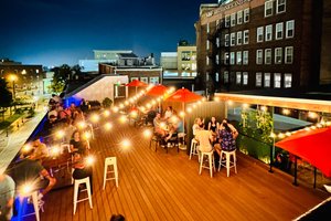 The Velvet Hippo Bar & Lounge photo