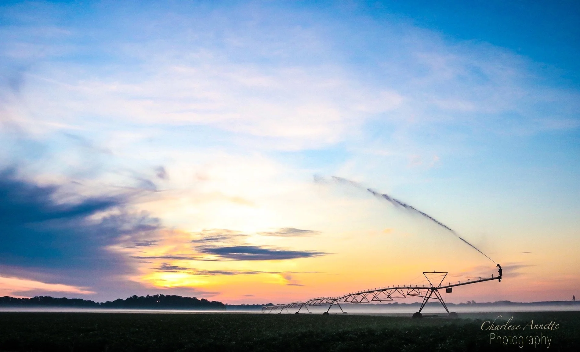 eZy Watermark_20-06-2020_10-50-11AM.JPG