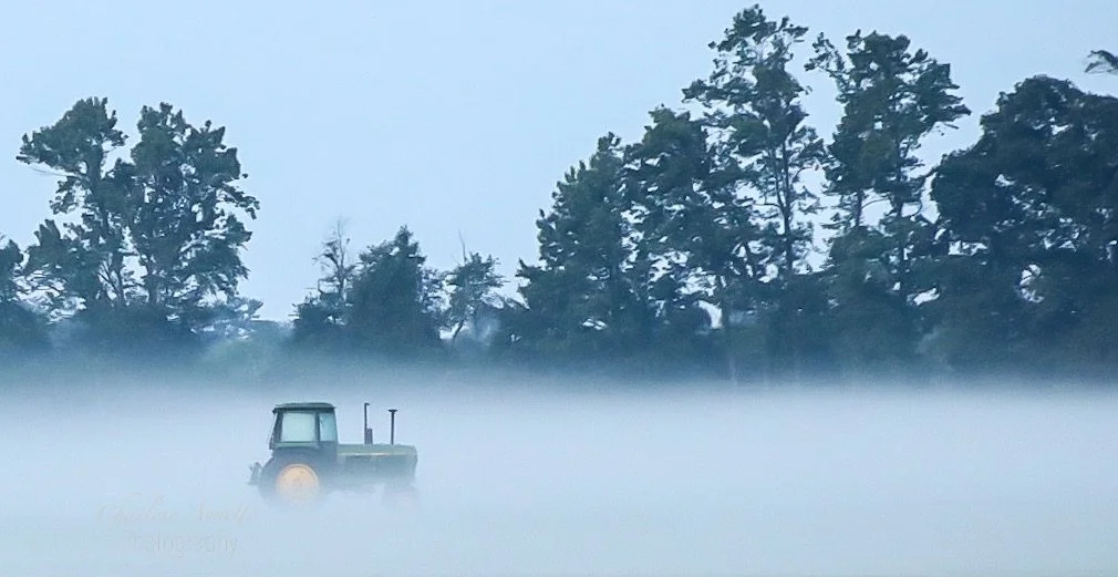 eZy Watermark_20-06-2020_03-58-56PM.JPG