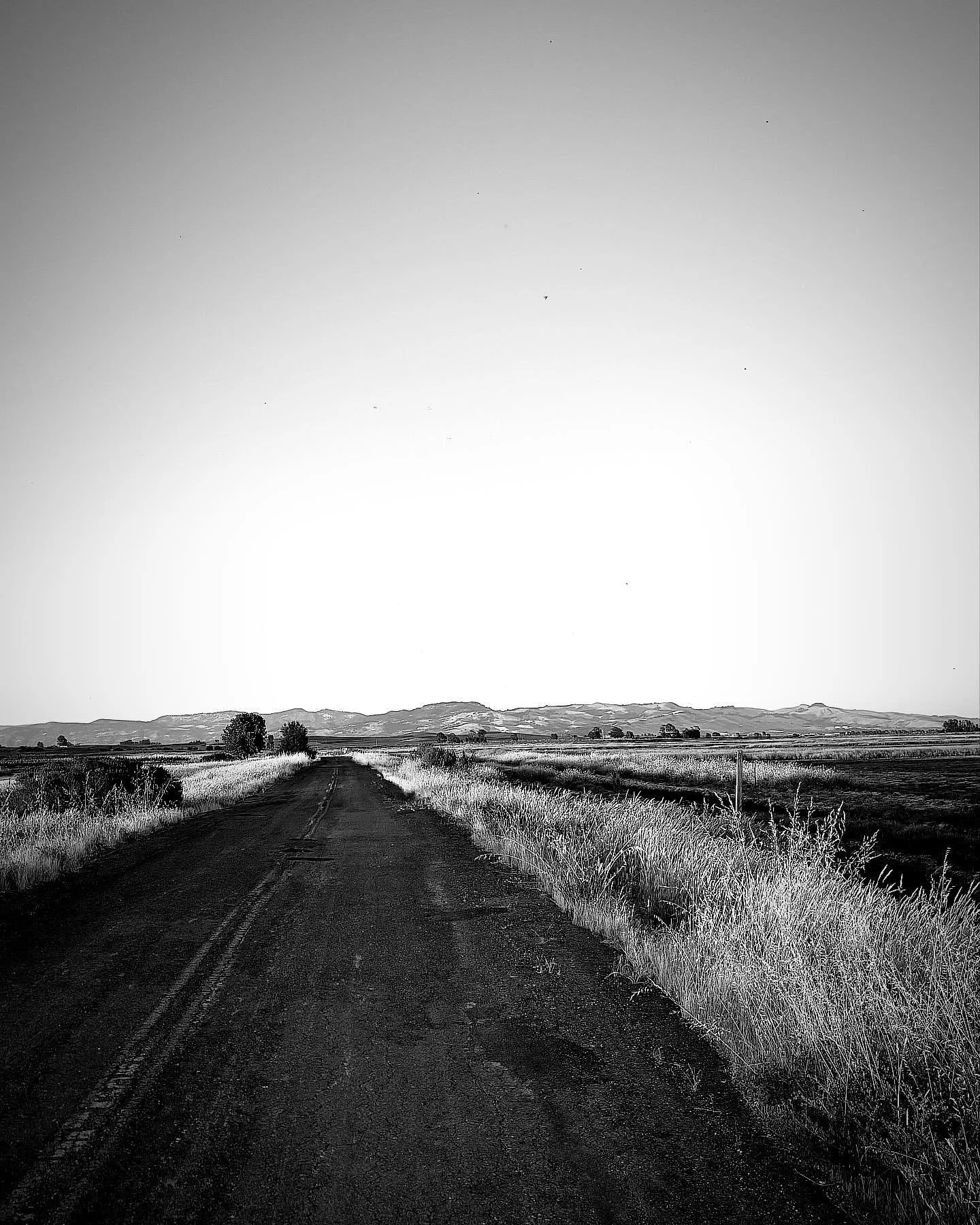 Photo dump from a June Moon. It was a month of sea change, of chaos, and weathering of un-nameable storms. Endless valley sunsets.

#imabobbleheadnow #blackandwhite #alicecoltrane #perserverance