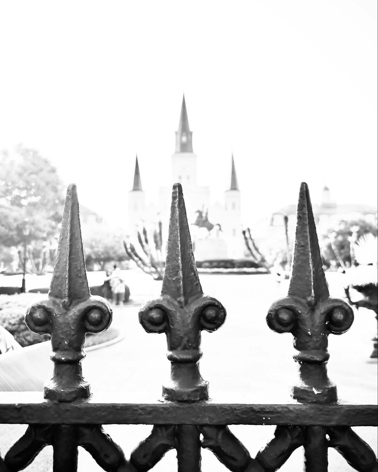 A cursed life, well lived.

#louisiana #neworleans #faulkner