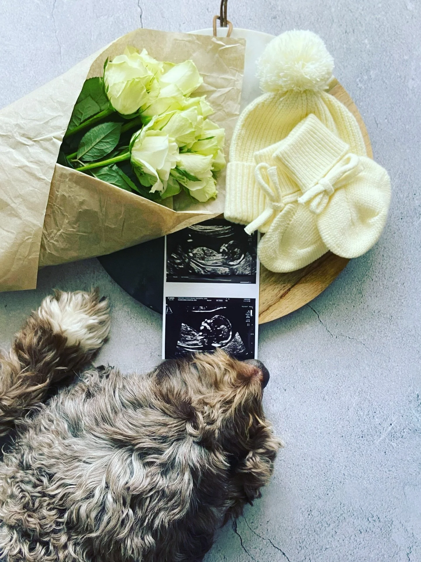 A new adventure begins&hellip; our bundle of joy is on the way, with their arrival expected late 2026. 

We have been keeping it a secret while navigating the depths of the first trimester. But we are so excited for what&rsquo;s to come. 

The Paradi