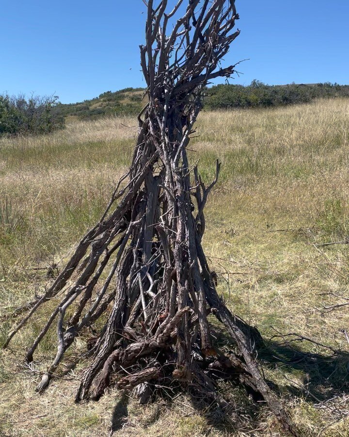 New life for dead scrub oak branches. #andygoldsworthyartist inspired found object sculpture. .
Love the challenge of working with what only the material, friction, and gravity permits me to build (no tools or adhesives). 
.
.
#andygoldsworthyartist 