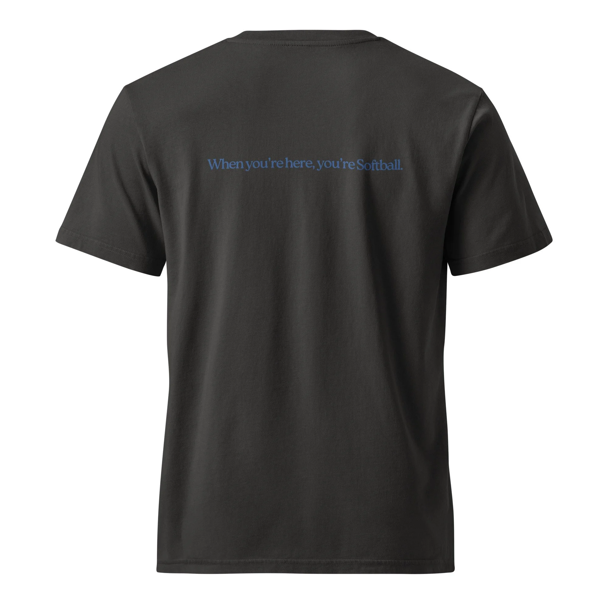 unisex-garment-dyed-creator-2.0-vintage-t-shirt-g.-dyed-black-rock-back-6a3c5d268df26.jpg