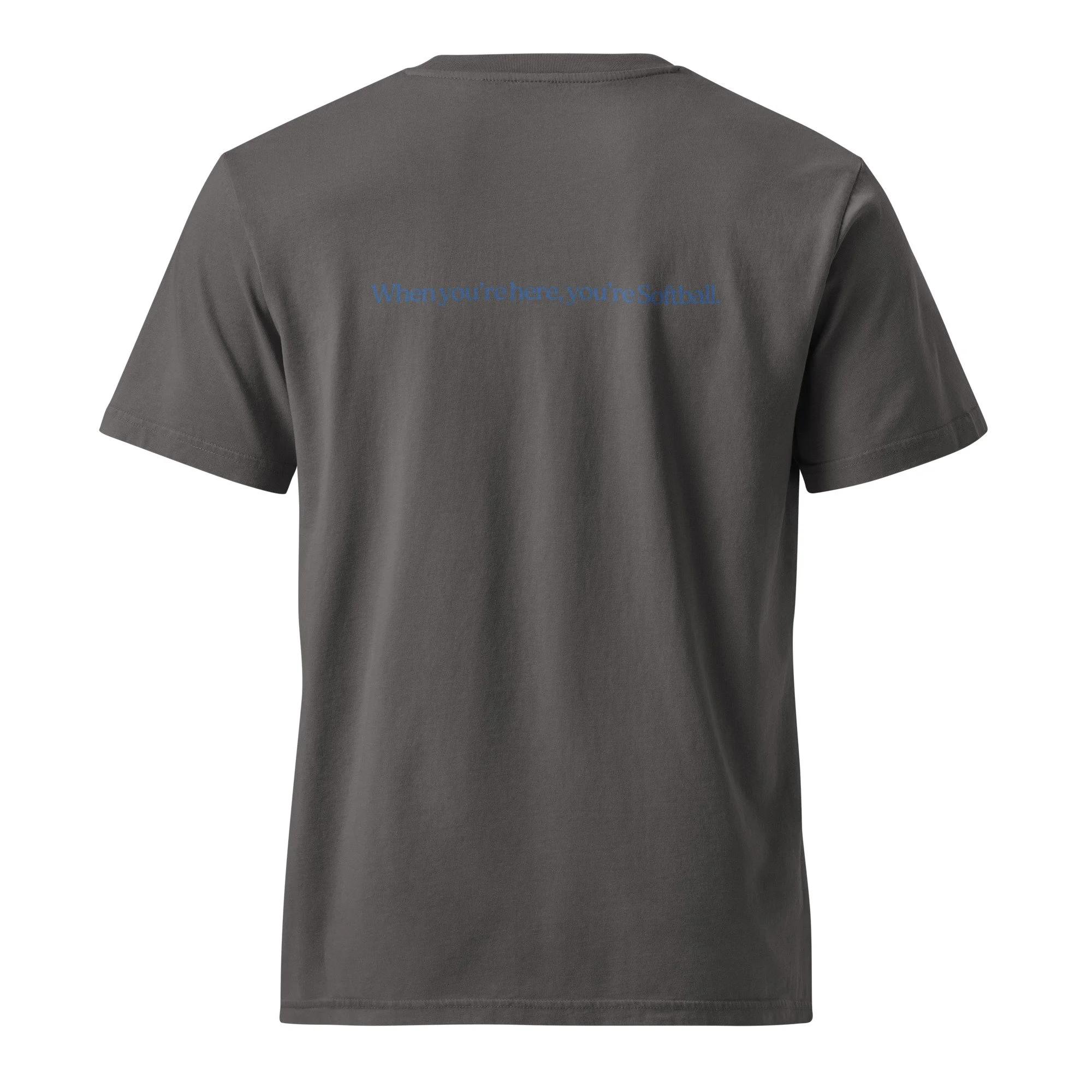 unisex-garment-dyed-creator-2.0-vintage-t-shirt-g.-dyed-anthracite-back-6a3c5d268dec5.jpg