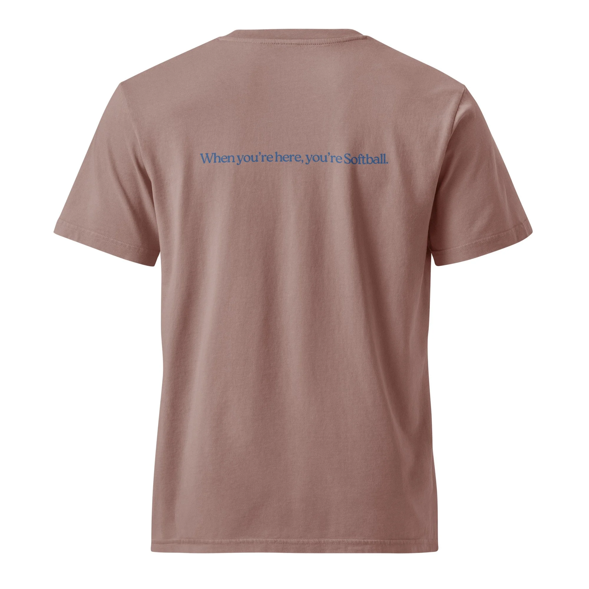 unisex-garment-dyed-creator-2.0-vintage-t-shirt-g.-dyed-kaffa-coffee-back-6a3c5d268dfd1.jpg