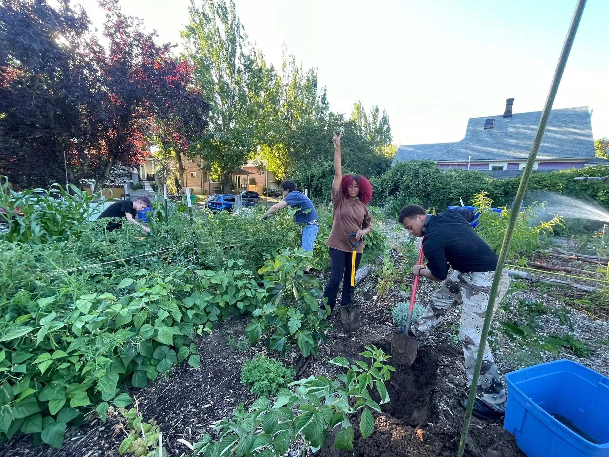 Digging a hole for a mini-pond