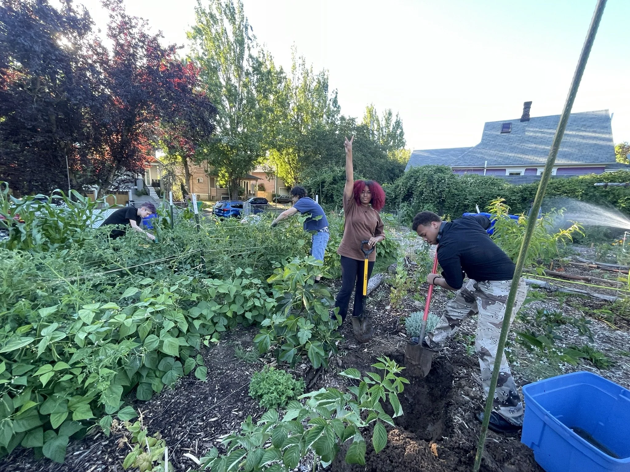 Digging a hole for a mini-pond