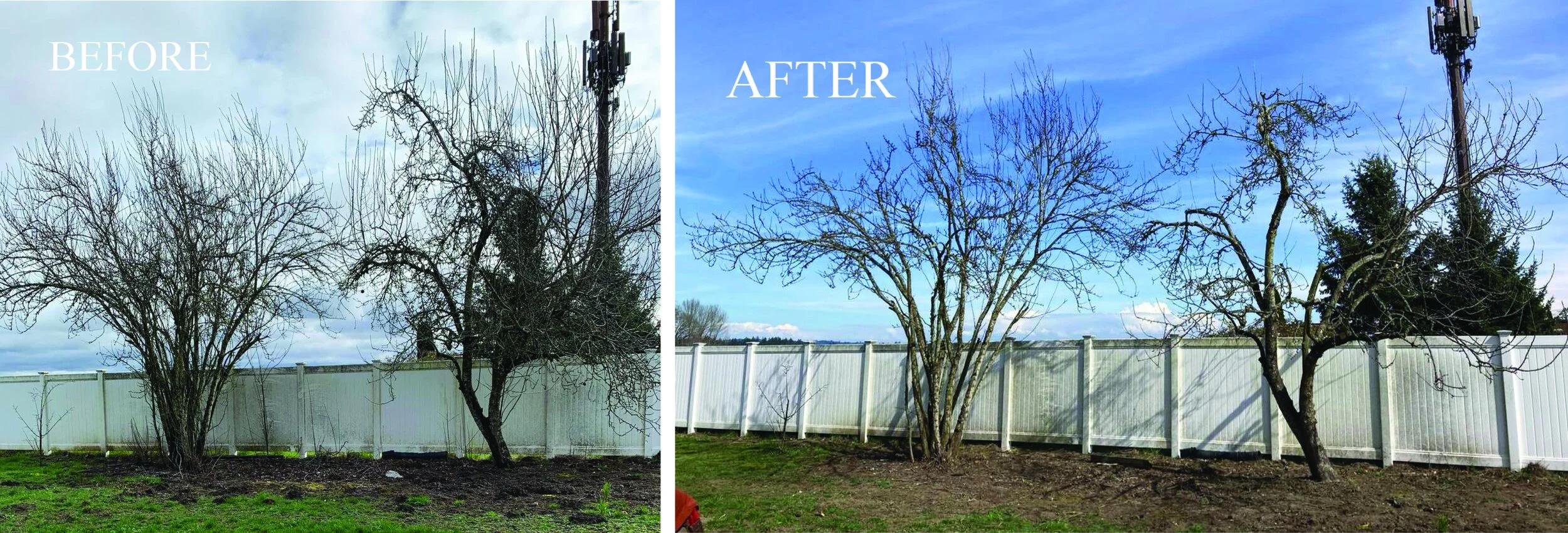 Portland Food Forest Initiative 501(c)3