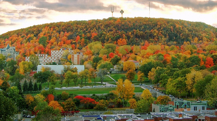 Welcome Back Social: Mount-Royal Hike