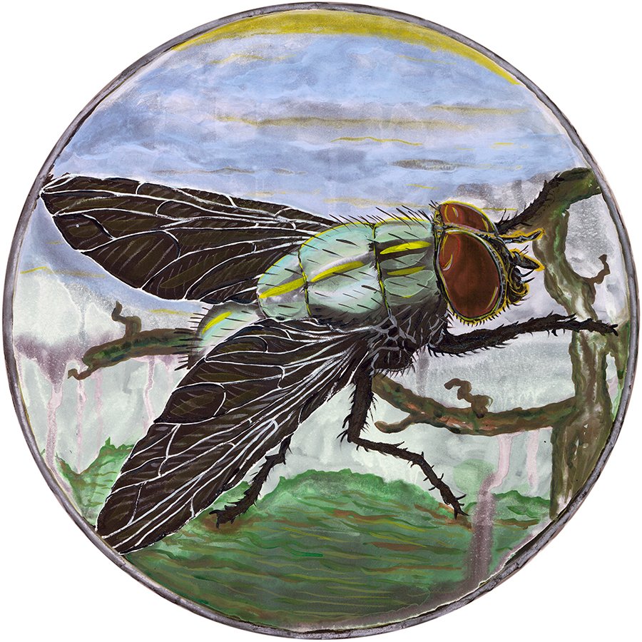 Fly 1, Giclee on Hahnemühle, image 16" diam., paper 18", 2023