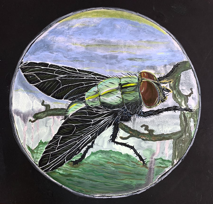 Fly 1, Watercolor on Black Stonehenge, 24"x24", 2023
