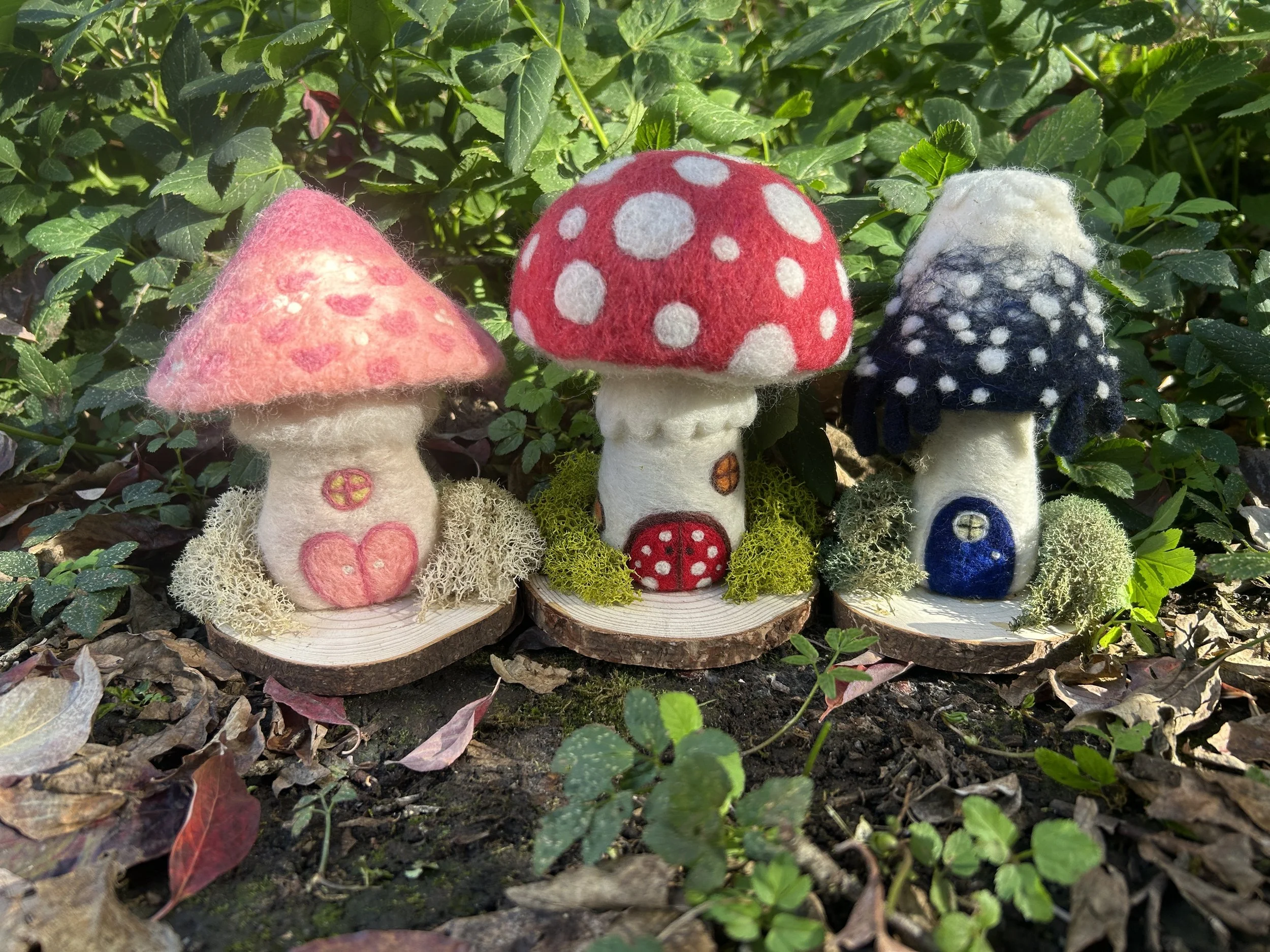 Toadstool Mushroom House