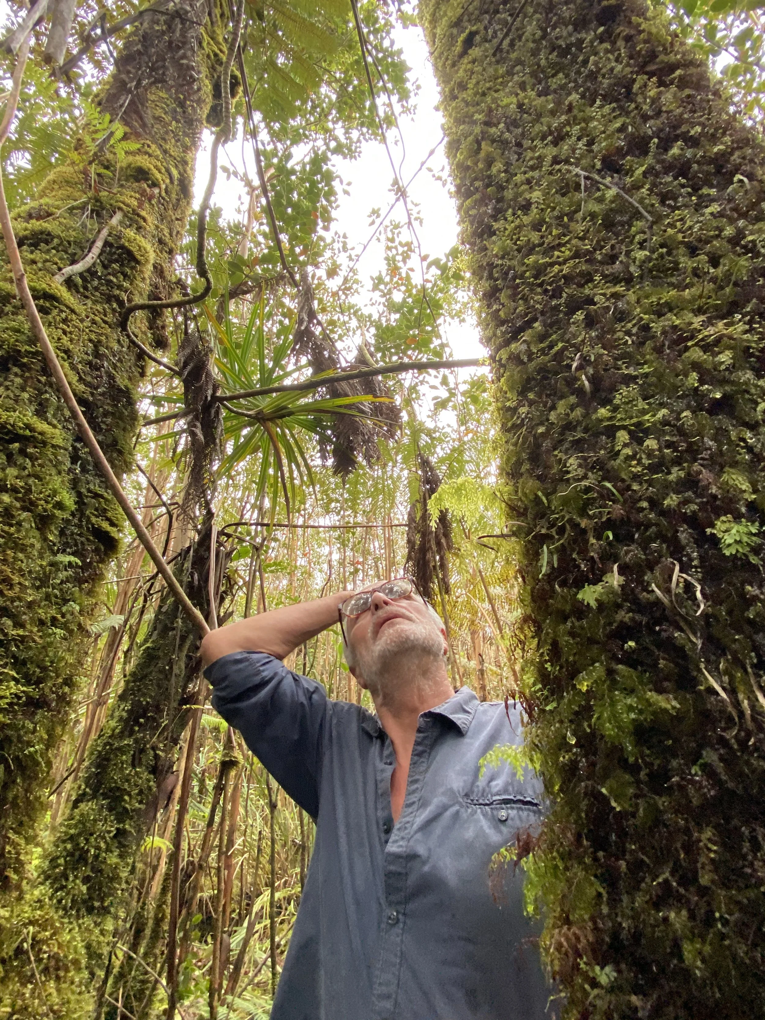 Philippe Guide Français Hawaii.jpeg