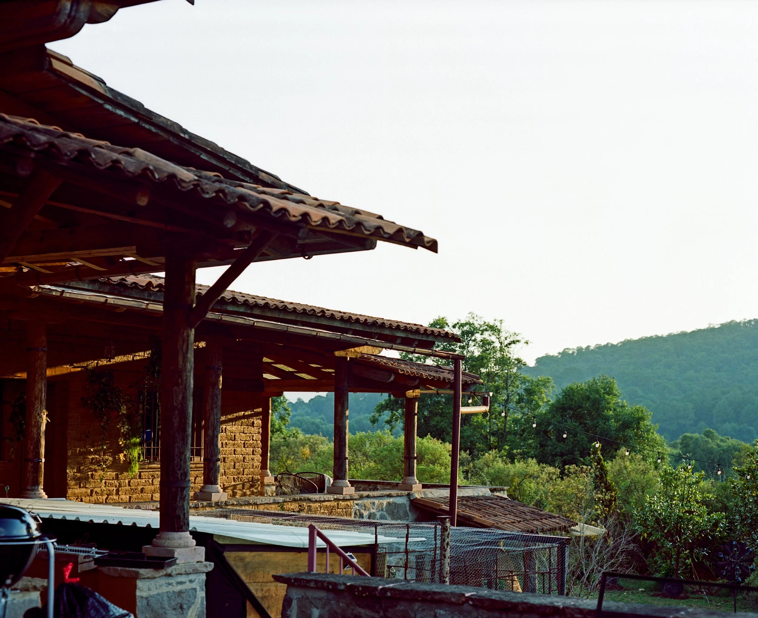 PV5.jpg