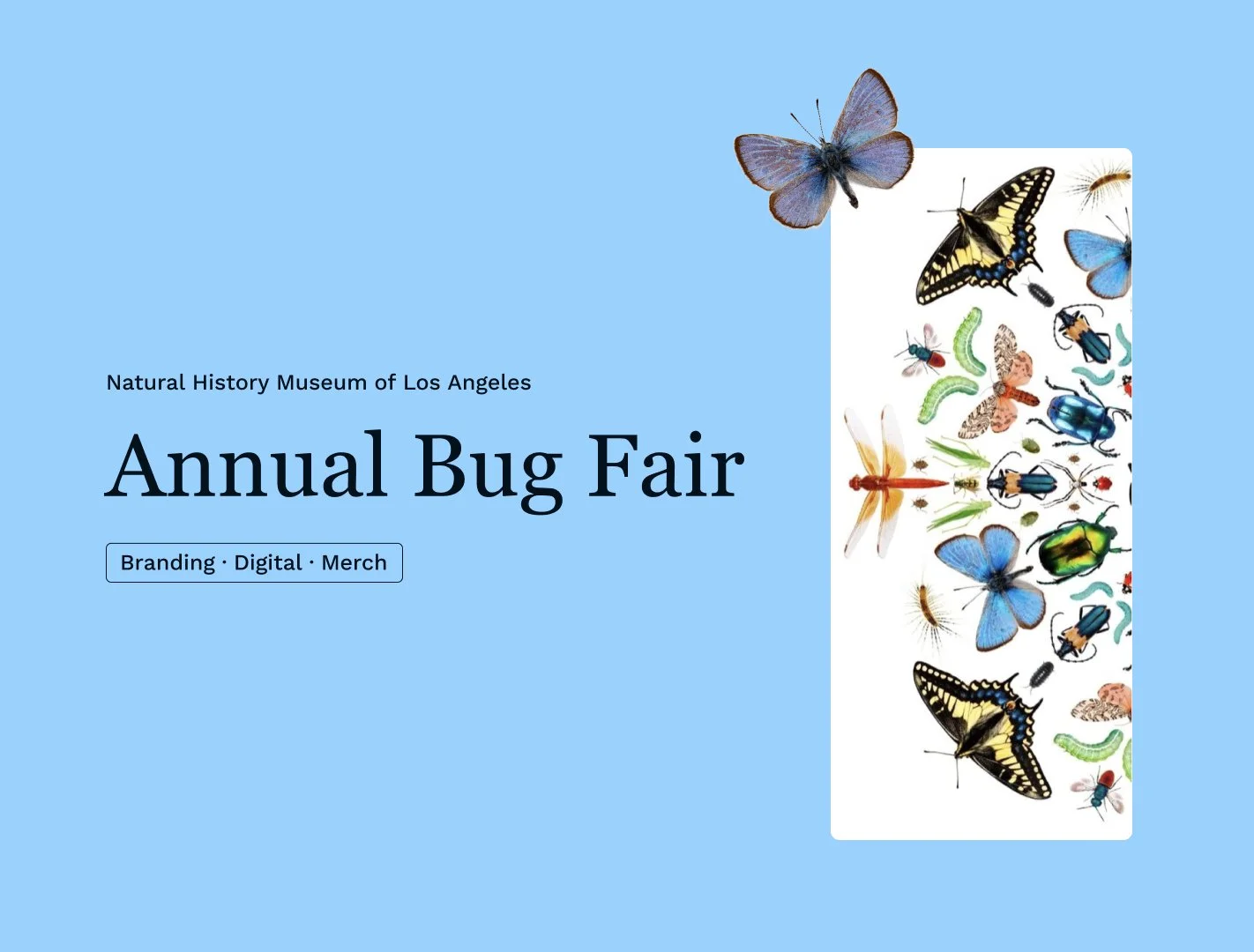 Natural History Museum of Los Angeles — Bug Fair