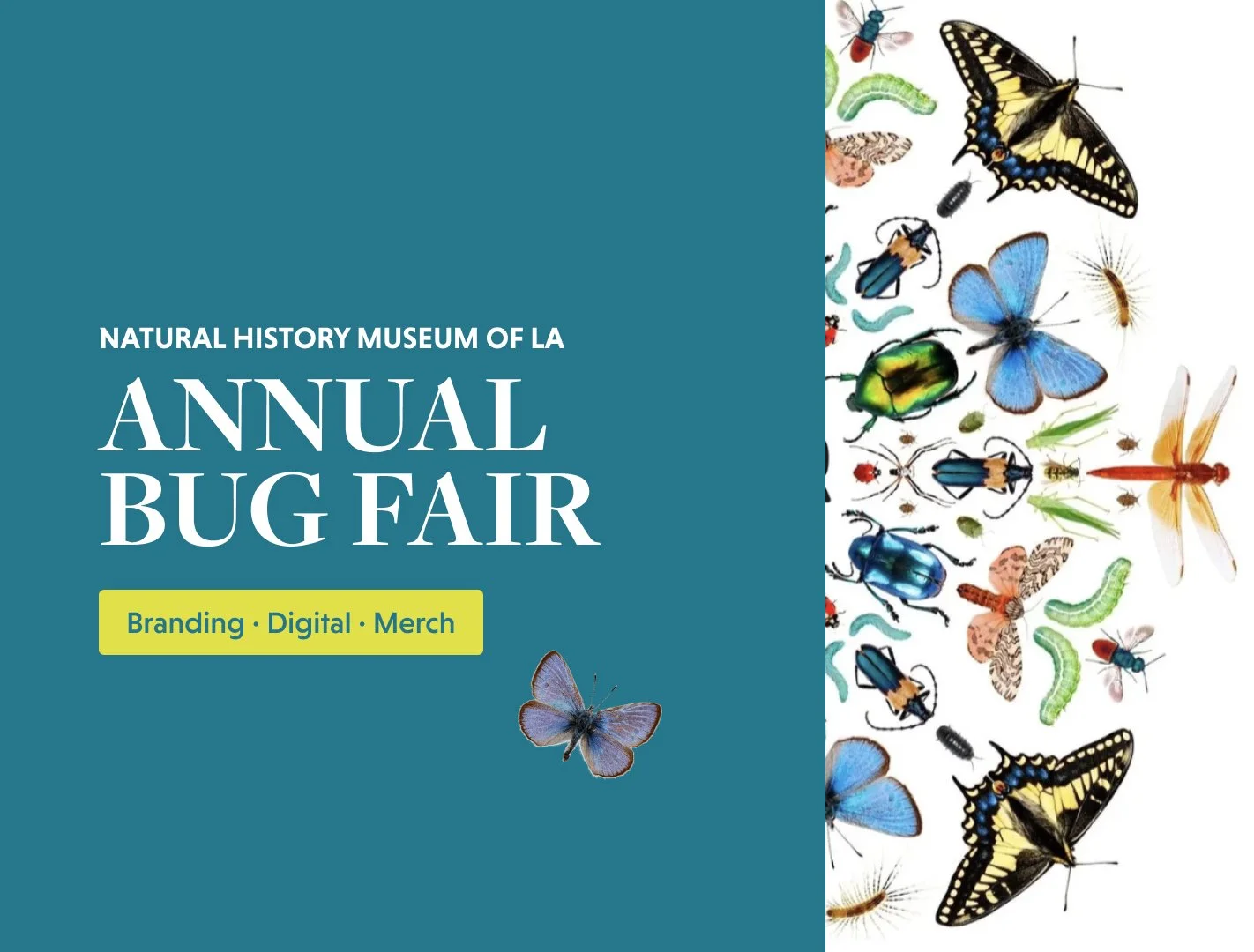 Natural History Museum of Los Angeles — Bug Fair