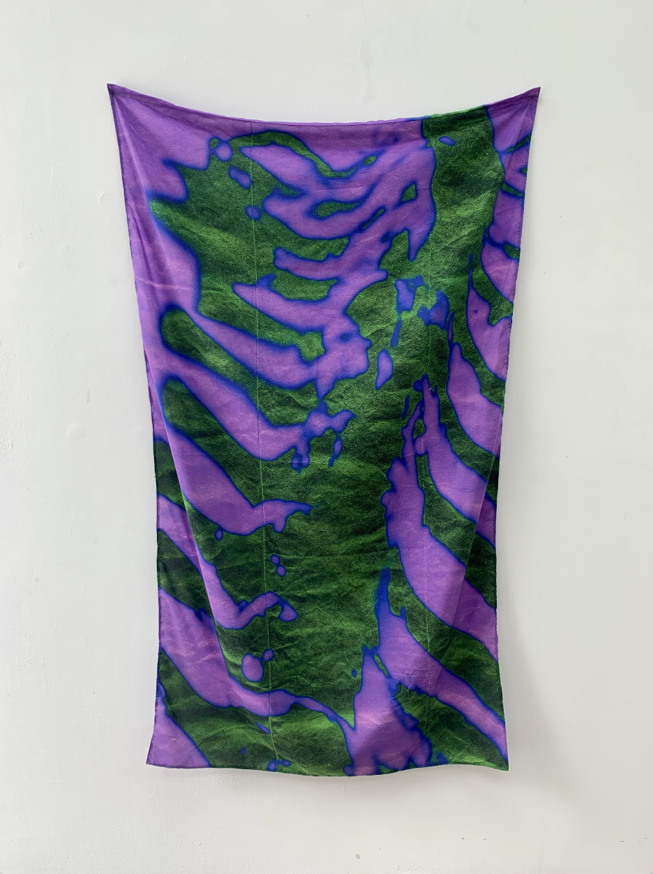 Untitled, Digital Print on silk cotton