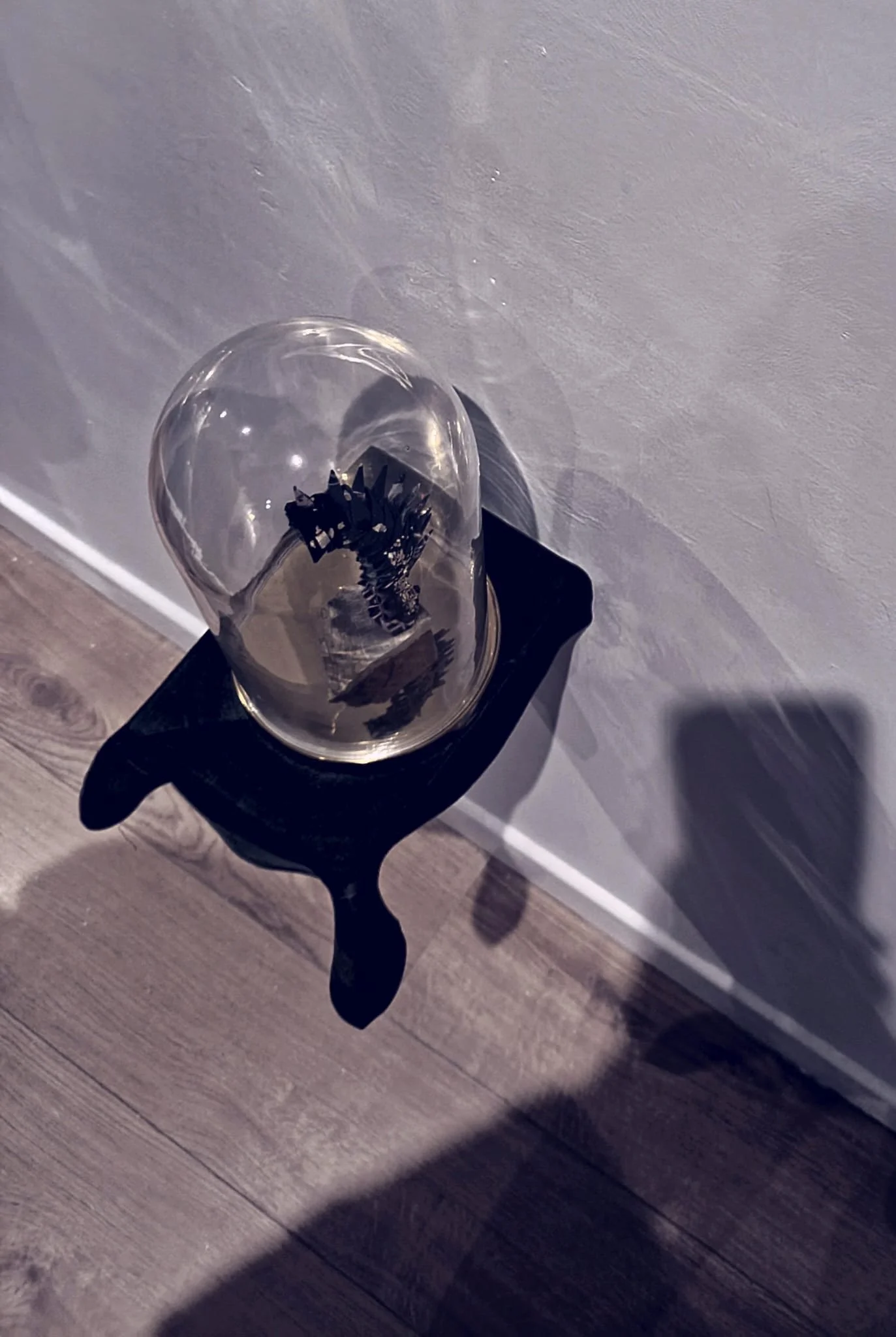 61afd2d5-2a10-4c46-ab38-f7cacb9178f5 2.JPG