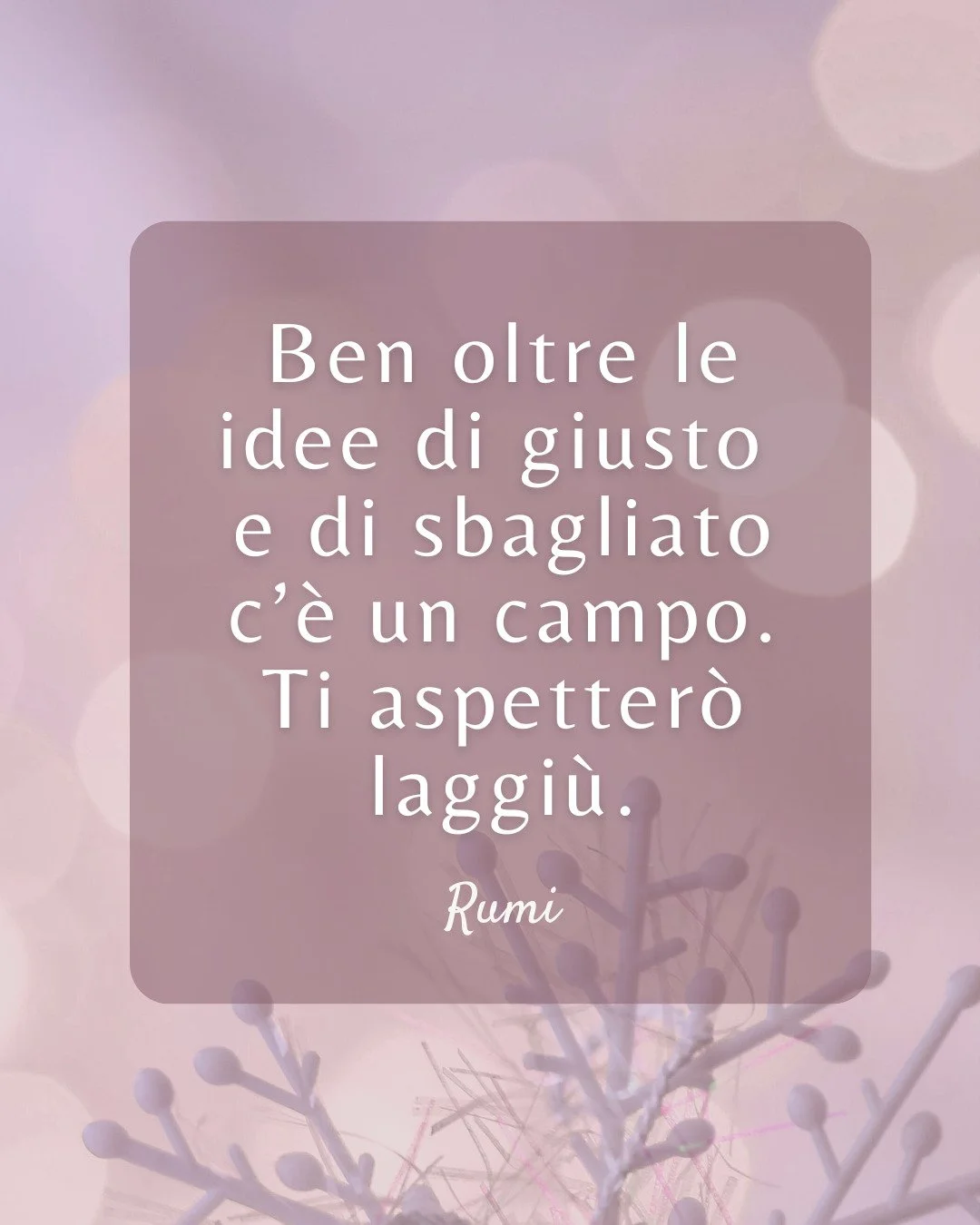 In un tempo di guerre e di conflitti, vi auguro di poter coltivare la via dell'ascolto e della comprensione, di s&eacute; e degli altri, in quello spazio che va oltre e che unisce invece di dividere. 

Buone feste di cuore a tutti voi! ✨

Nicoletta