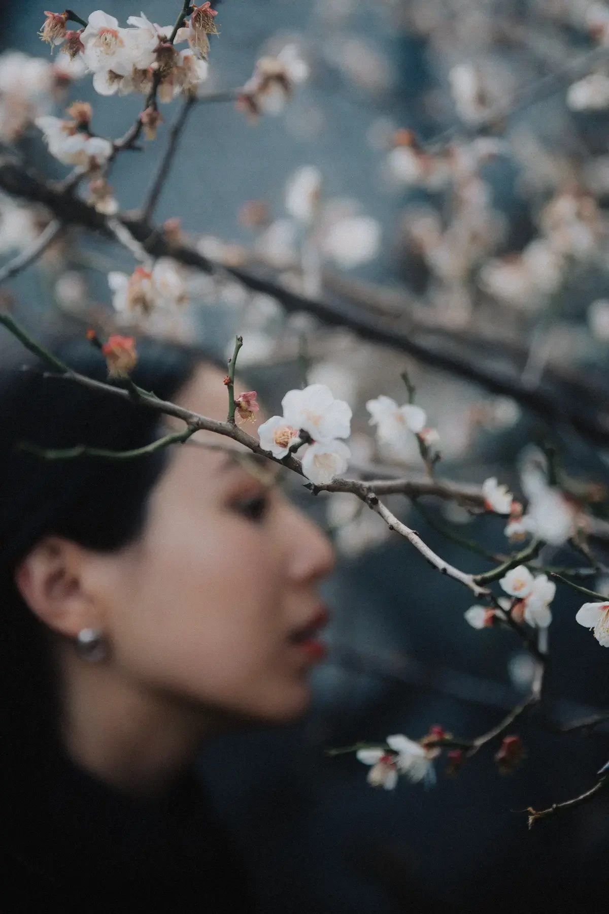 portrait_sowa04.webp