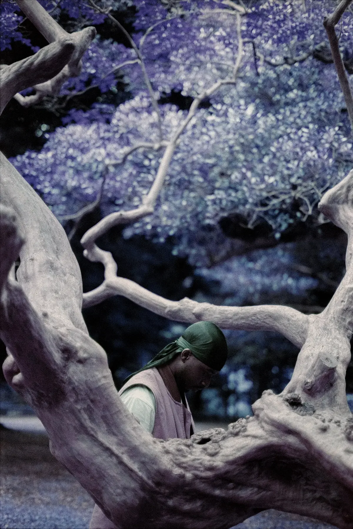 portrait_kraftykid-lomochrome-purple11.webp