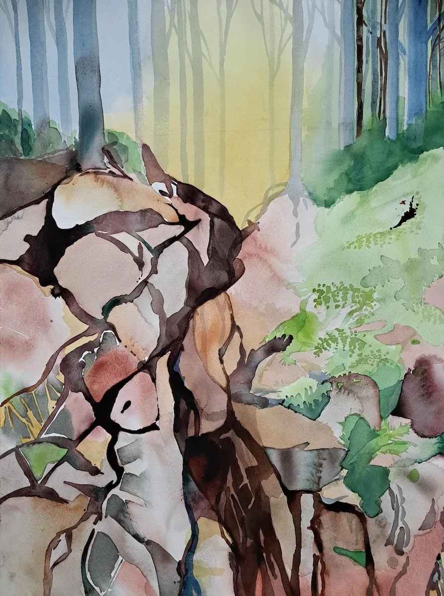 Juuret IV (2026), 74x56 cm