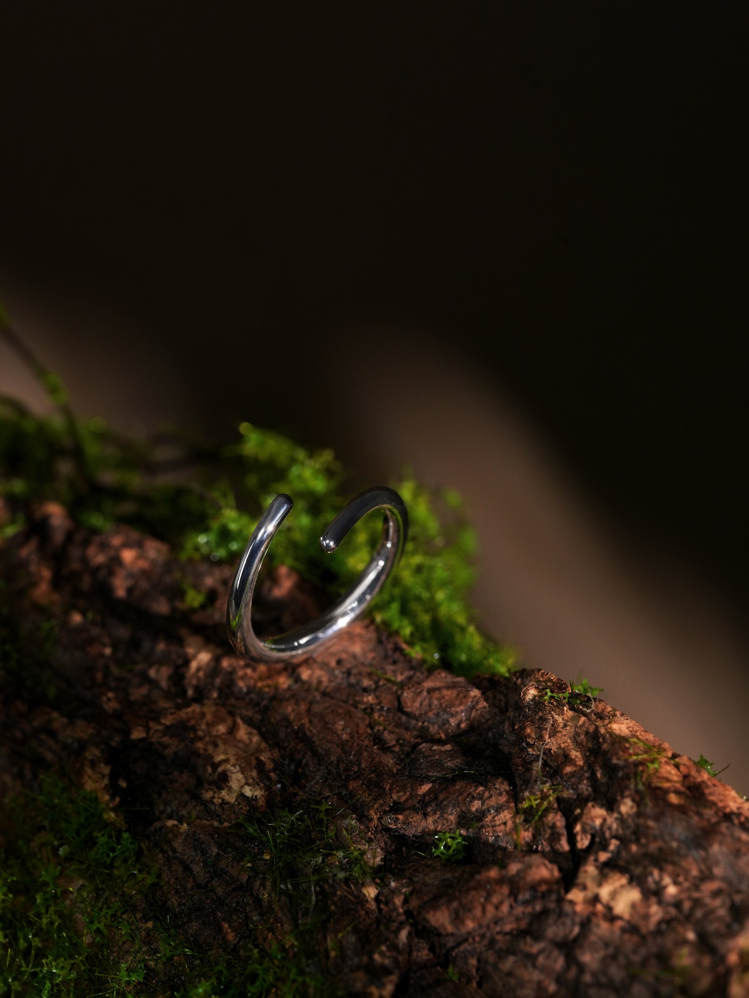 Kgokgontsho ring