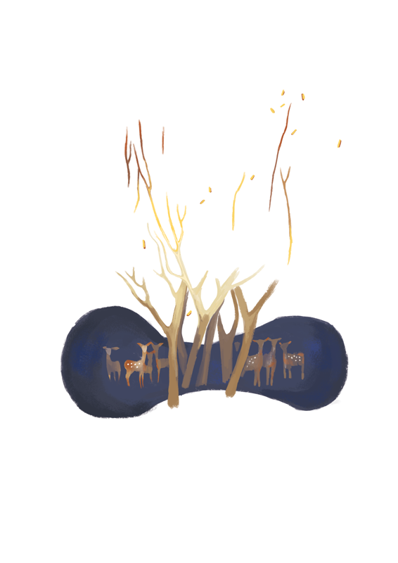 Apparitions