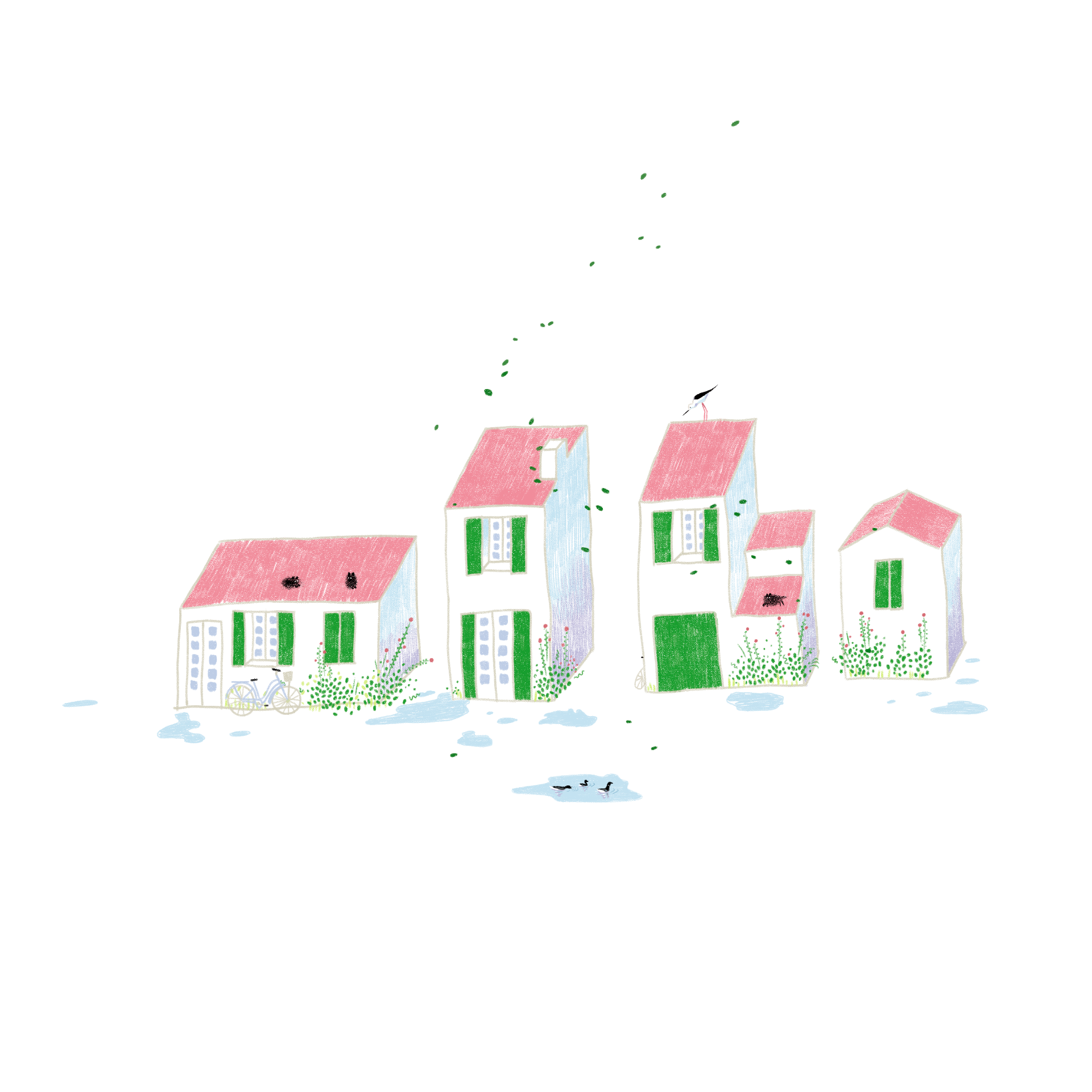 Ré, après la pluie
