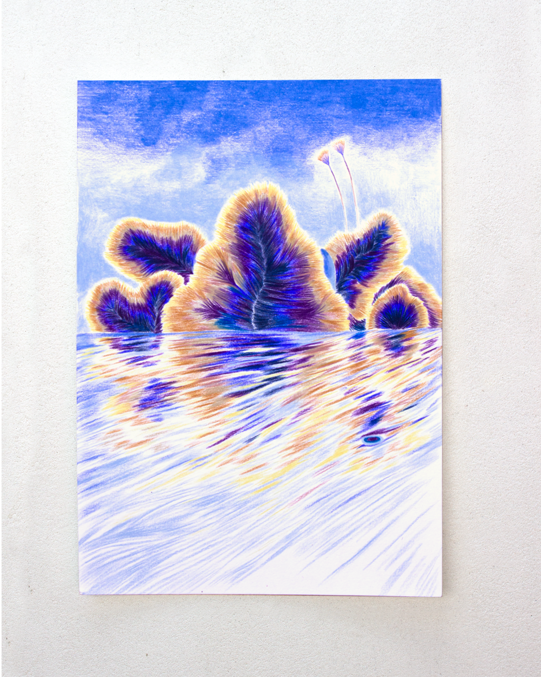 lile aux chatons_1350.png