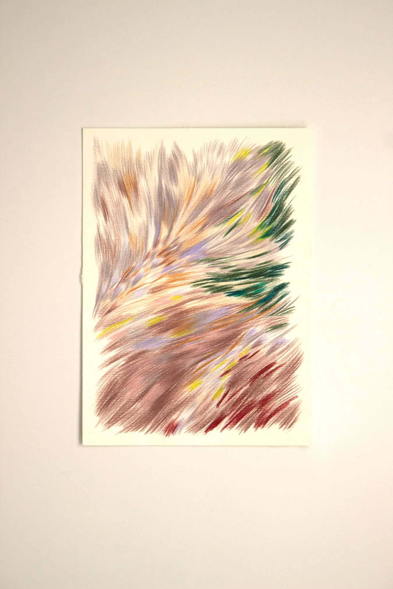 lesebruitees_safaemoatassime_artiste_dessinatrice.jpg