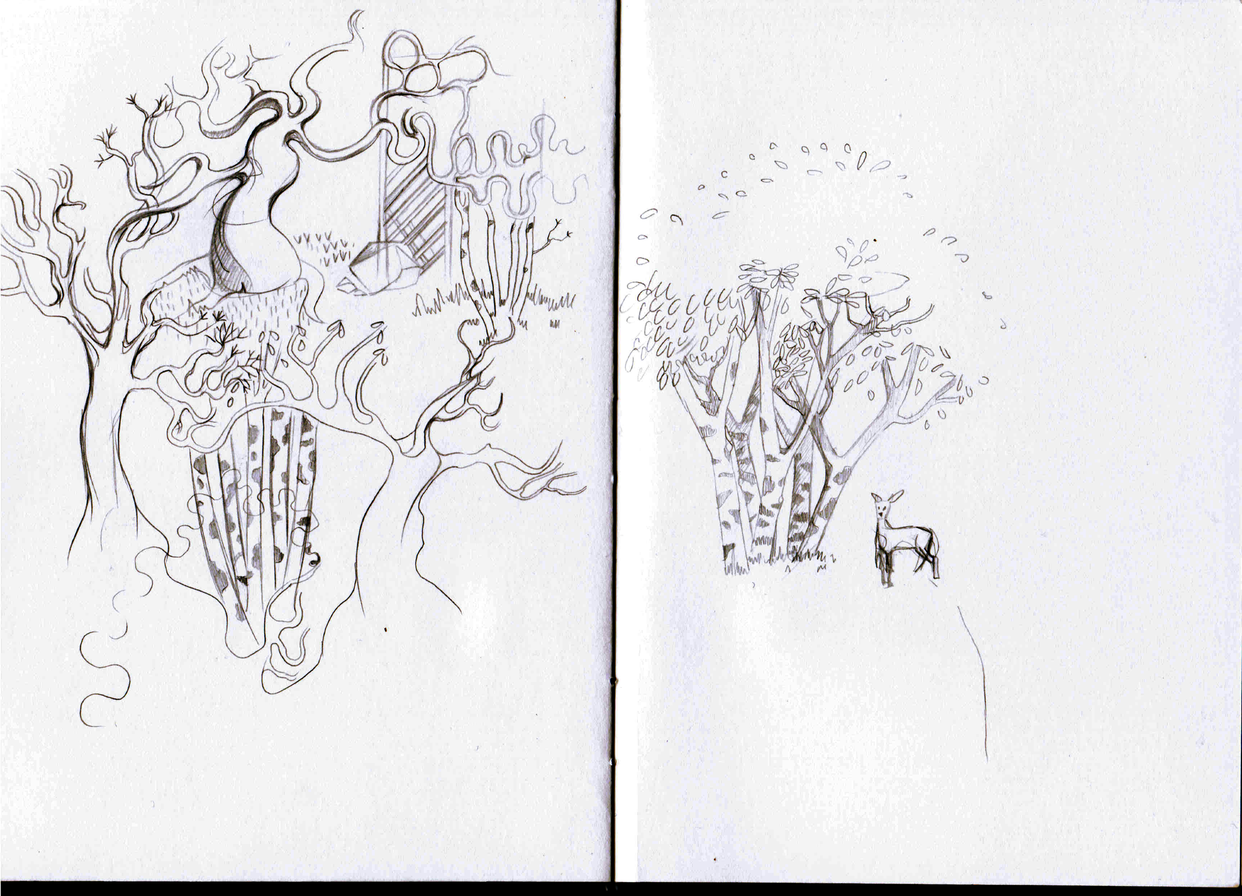apparitions_pagecroquis2.png