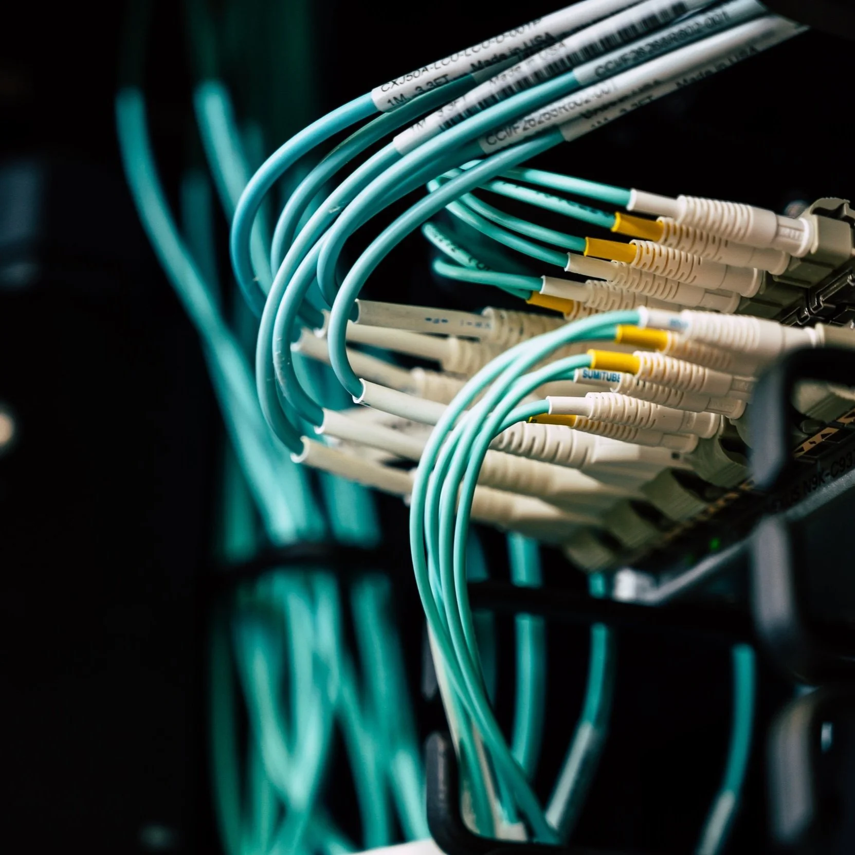 Close-up of network cables organized in a server rack.