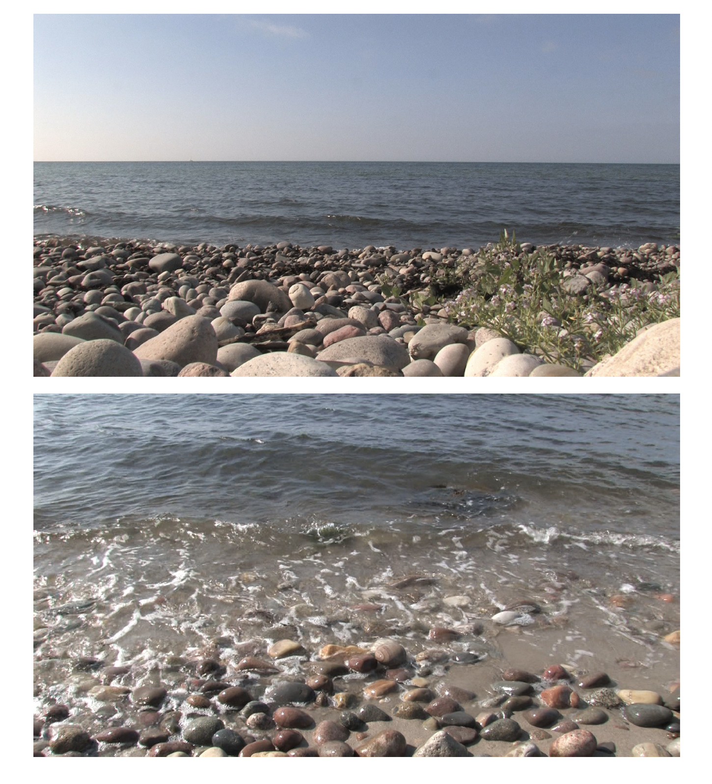 Skärmavbild 2022-08-11 kl. 13.19.54.png