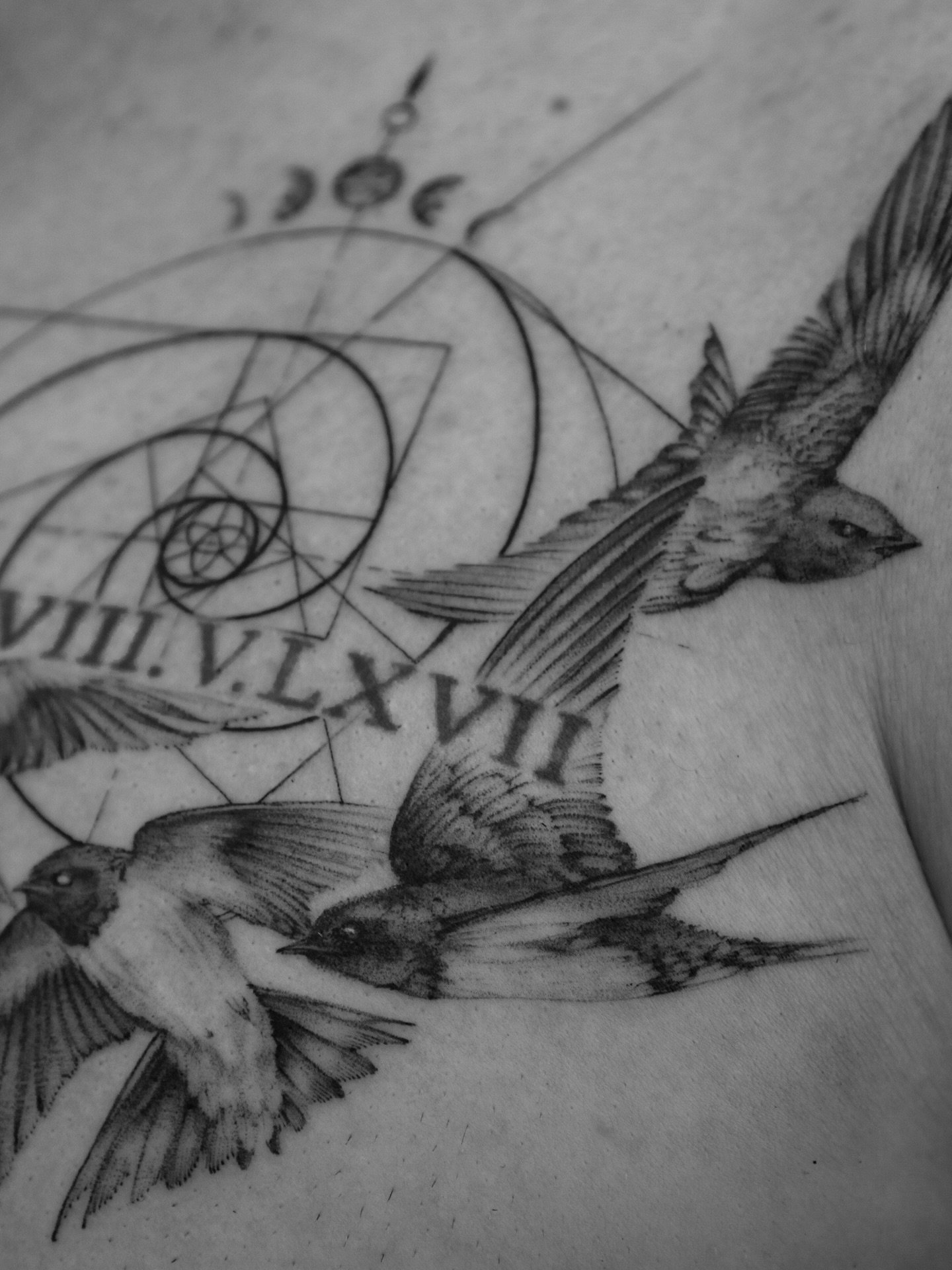 Ohk but how well does this flash design work with that existing script though? 🖤

Booking updates for 2026 coming in the next week or so! Sign up to my inner circle mailing list on my website to be the first to hear anything, otherwise stay tuned on