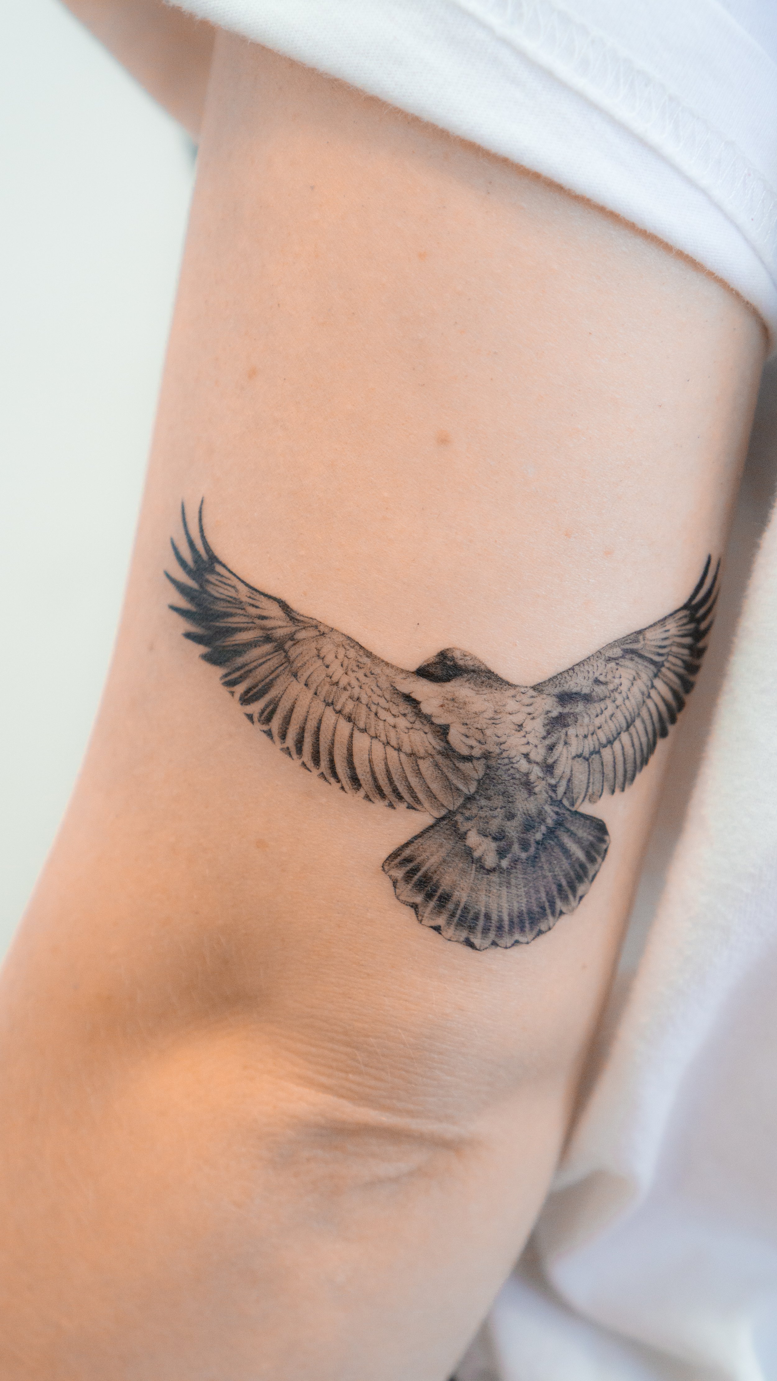 Black and gray tattoo of a bird with outstretched wings on person's upper arm.