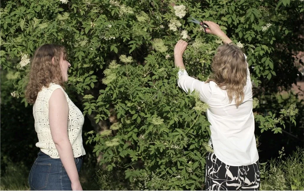 the sprig_song (kopia).jpeg