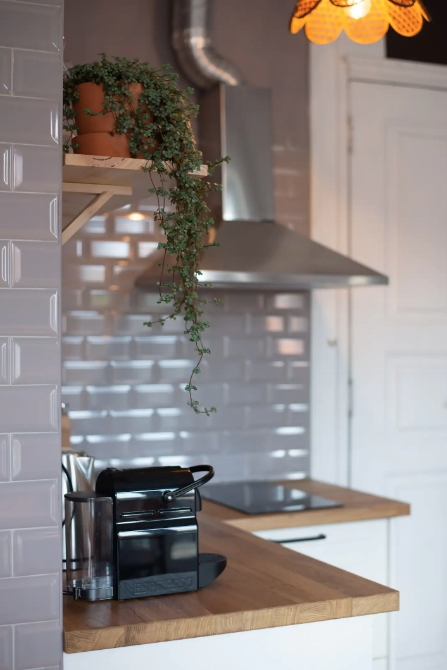 Captura de ecrã 2022-09-08, às 01.16.43.png