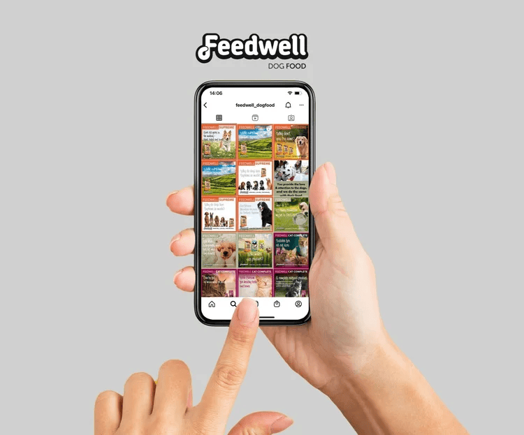 Mobile preview of Feedwell Dog Food's Instagram profile, featuring branded social media content and visual identity designed by Brand Elevation.