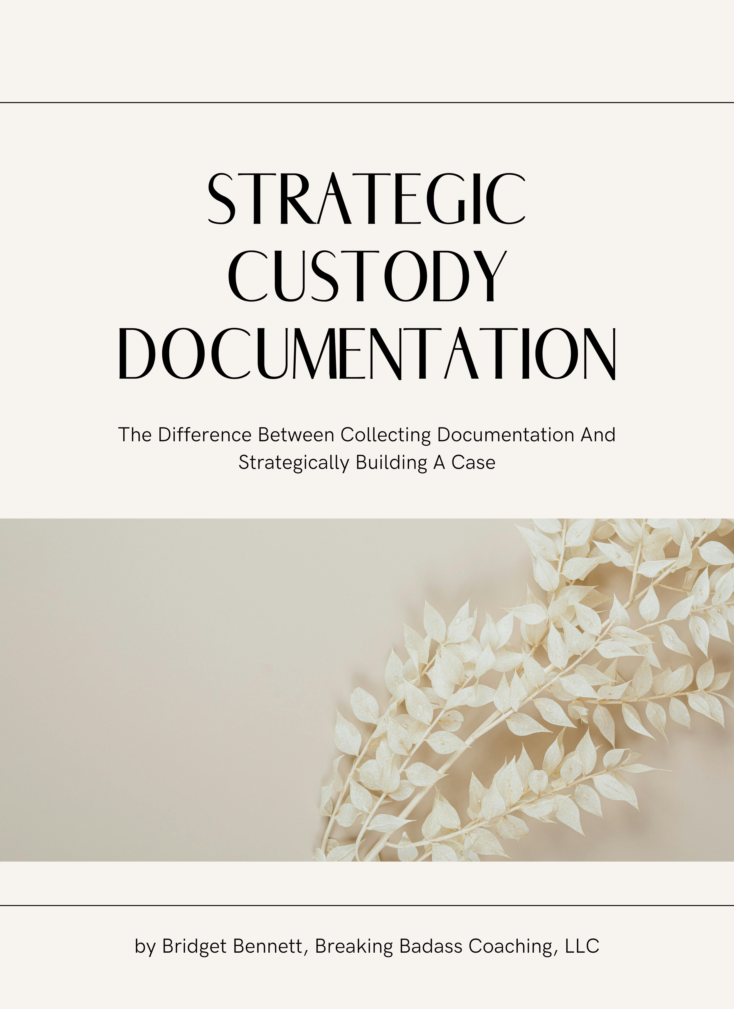 Strategic Custody Documentation