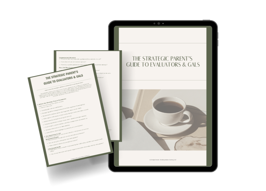 Strategic+Guide+Evals+%26+Gals.png