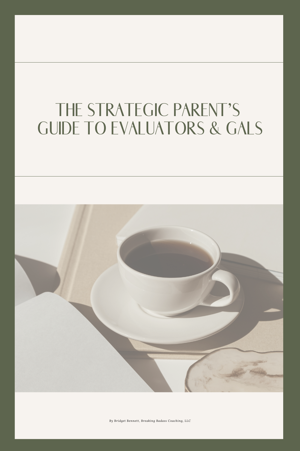 The Strategic Parent’s  Guide to Evaluators & GALs.png