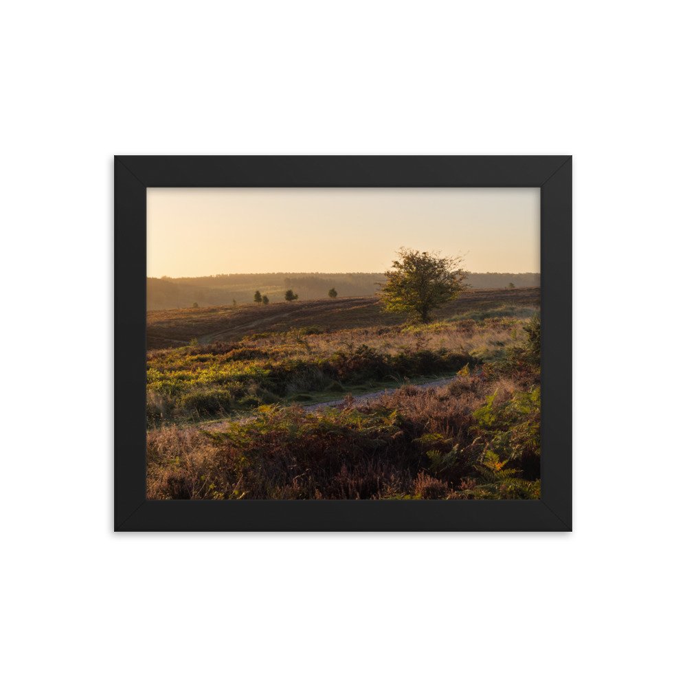 enhanced-matte-paper-framed-poster-(in)-black-8x10-transparent-6373a61c1c308.jpg
