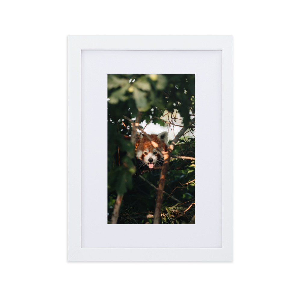 matte-paper-framed-poster-with-mat-(cm)-white-21x30-cm-transparent-6378eff22e25c.jpg