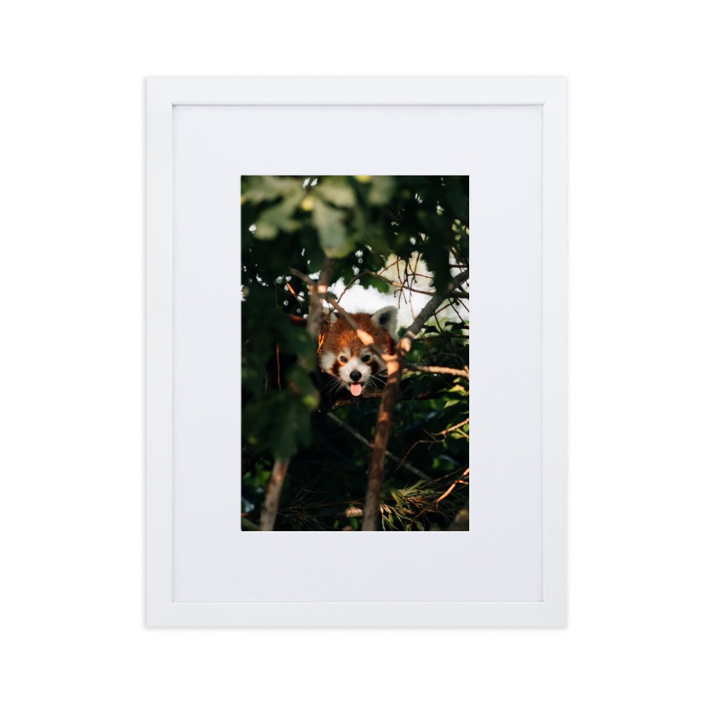 matte-paper-framed-poster-with-mat-(cm)-white-30x40-cm-transparent-6378eff22e2d6.jpg