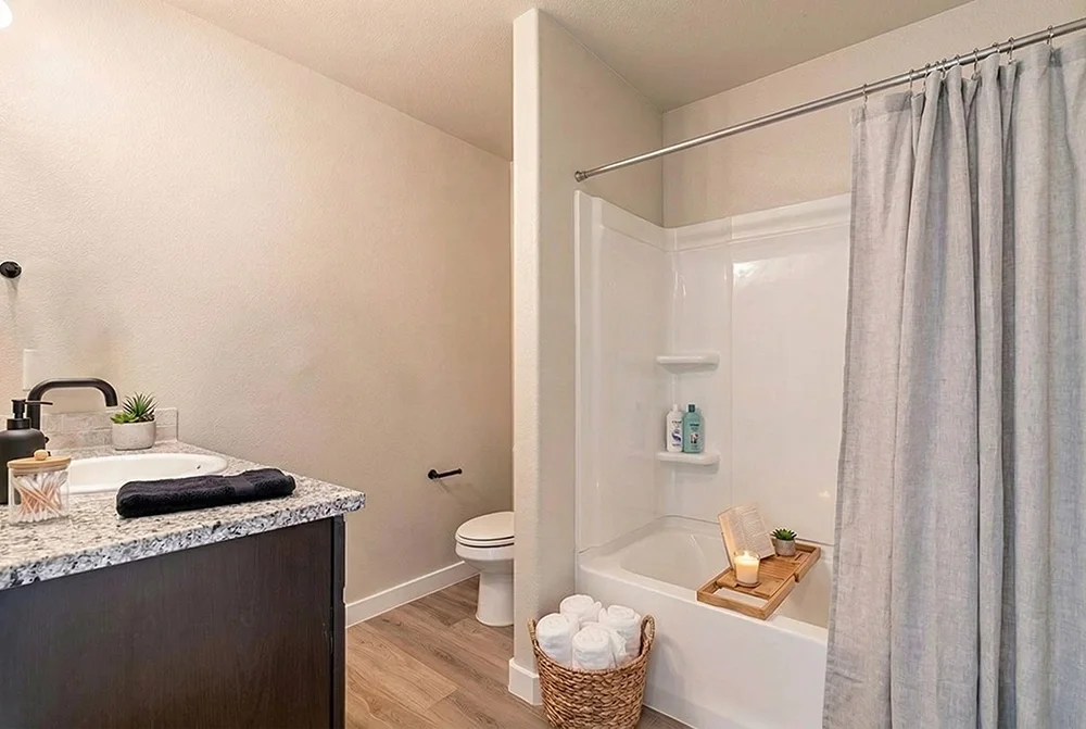 Bathroom with a vanity, sink, soap dispenser, and plant, a toilet, and a bathtub with a shower curtain, shower caddy, towels, and decorative items.