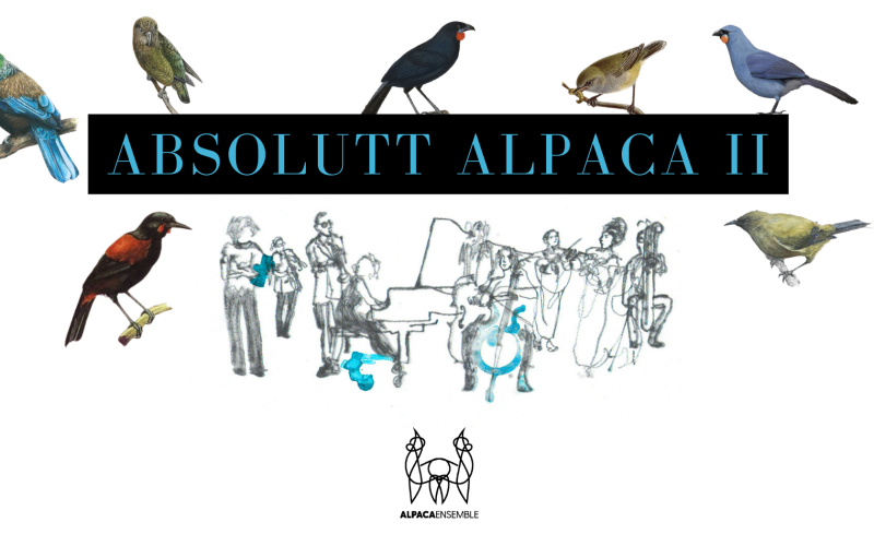 Absolutt Alpaca II