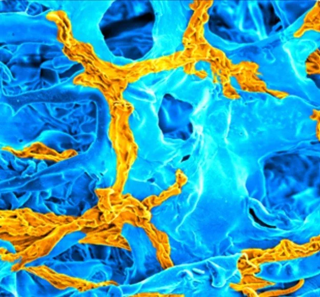 Image credit: 'Gilded Scaffolds' by Jack Maughan, AMBER Researcher